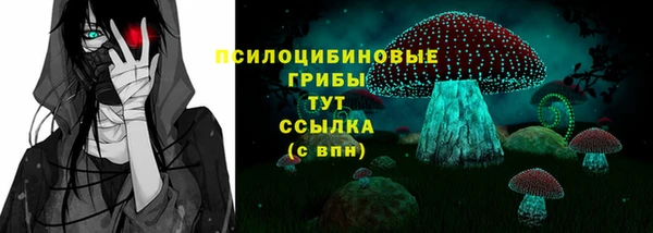 шишки Киреевск