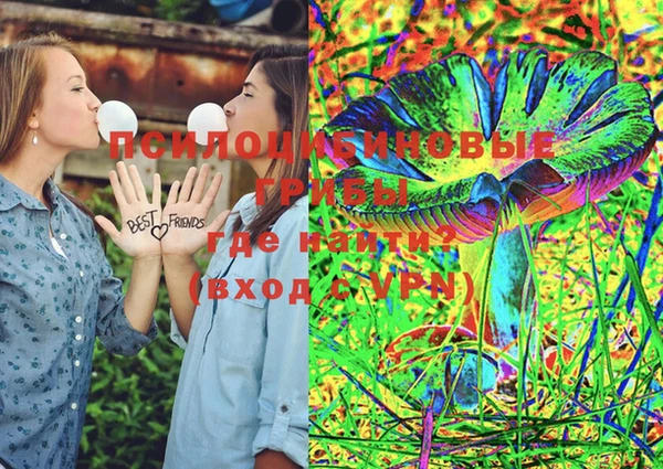 шишки Киреевск